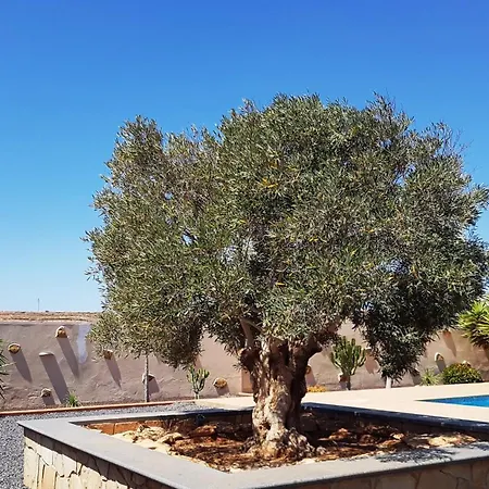 Finca El Lomo - Abseits Vom Massentourismus